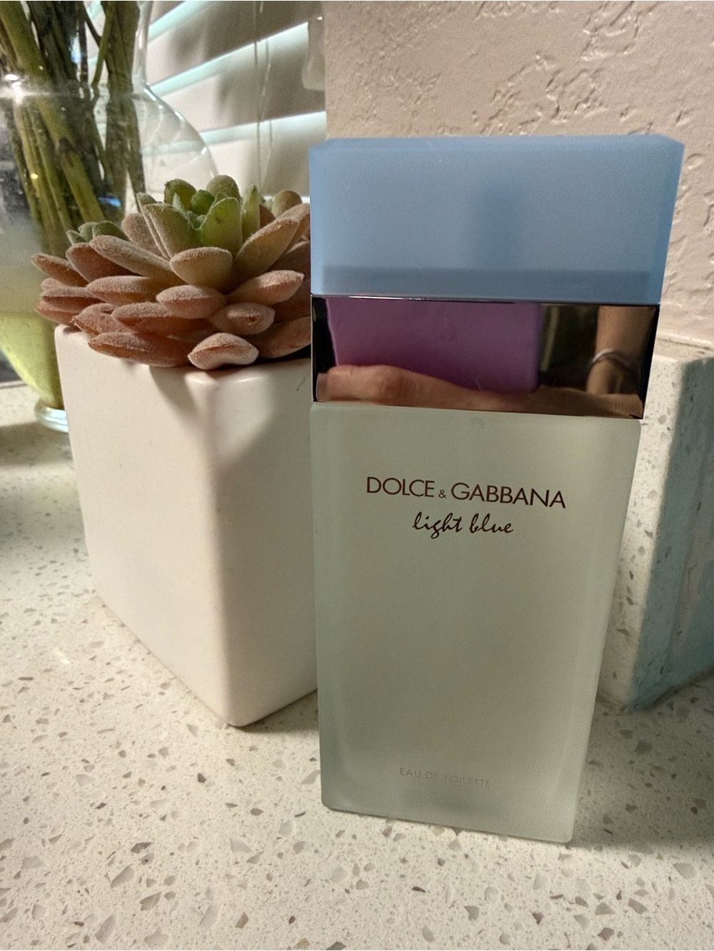 Dolce & Gabbana Light Blue
